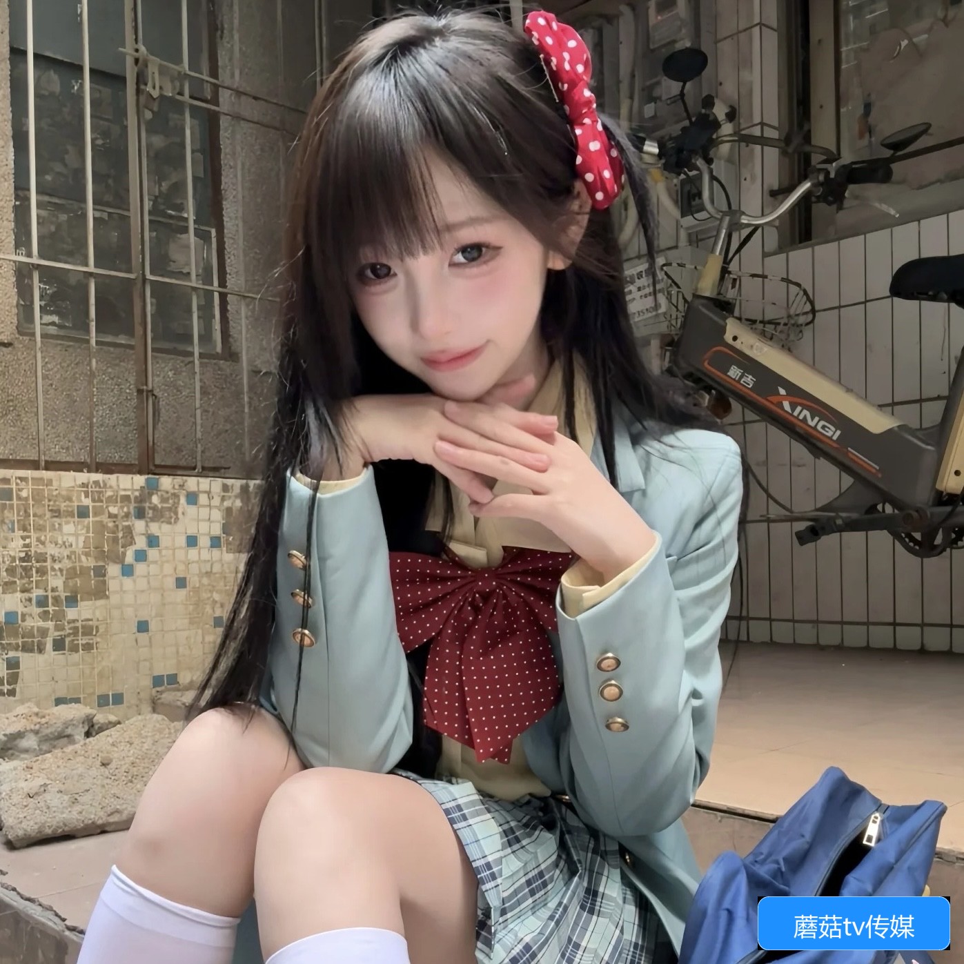 蘑菇TV传媒官网首页界面