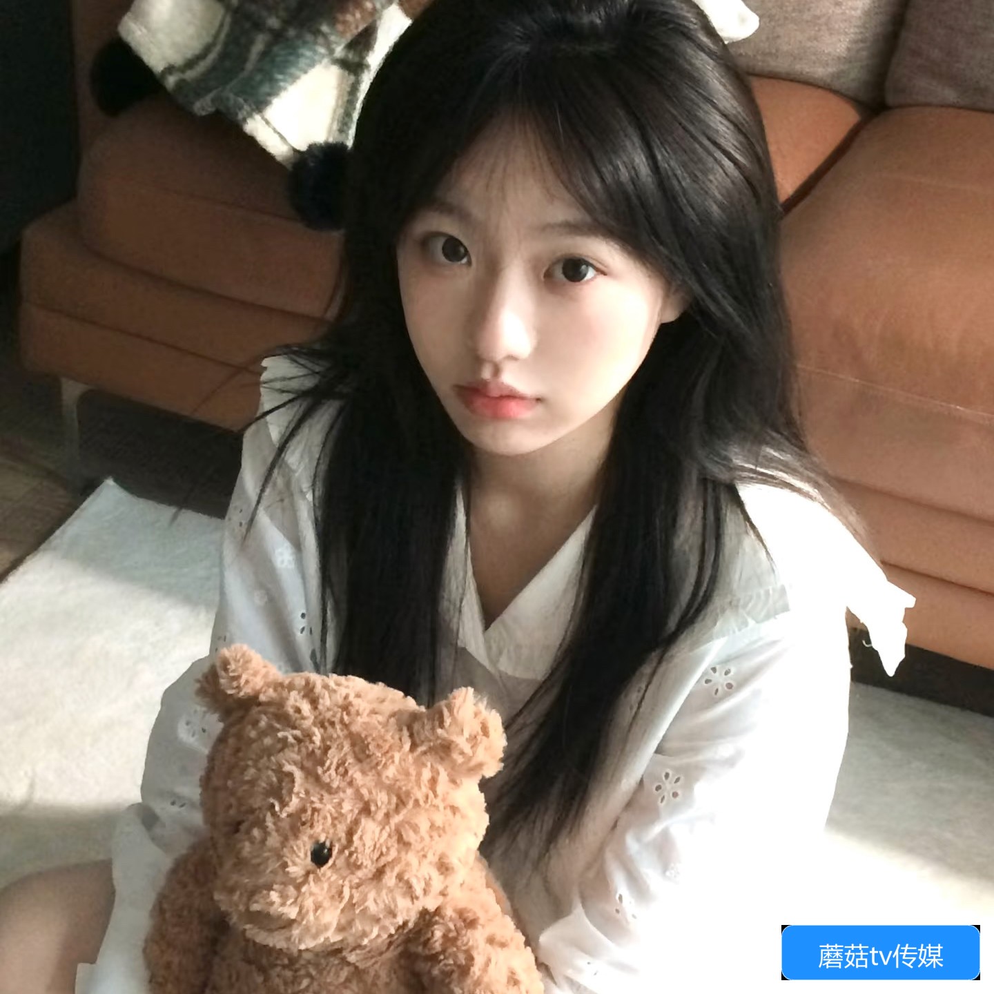 蘑菇TV传媒官网有哪些主要功能和使用指南