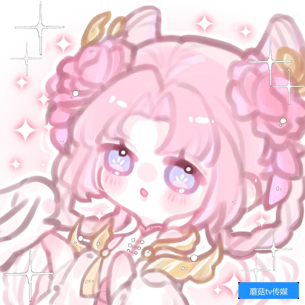 蘑菇TV传媒网页版怎么使用及常见问题解答