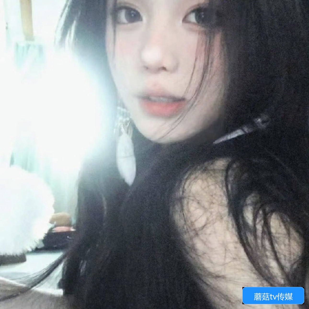 蘑菇TV传媒官网页面怎么访问和使用指南